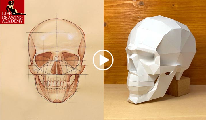 How to Make and Draw a Skull