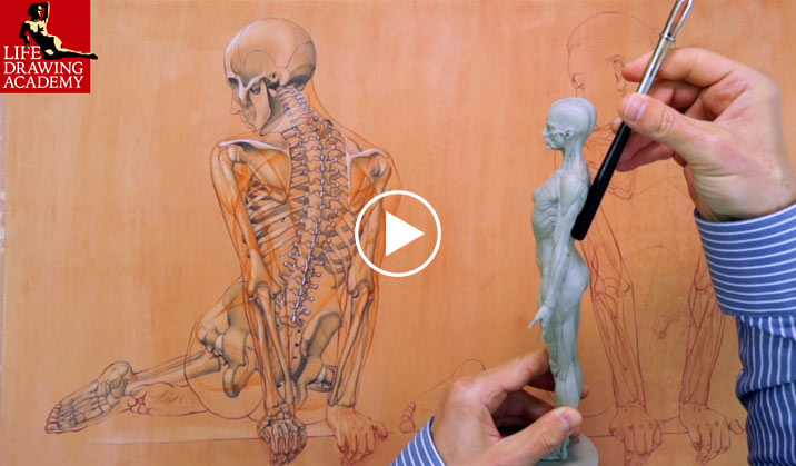 How to Use Contours and Outlines in Life Drawing