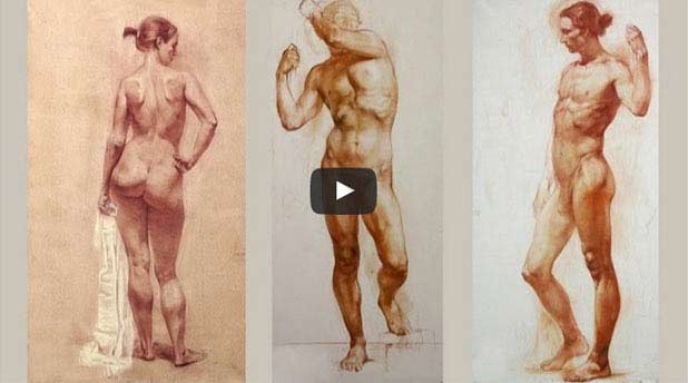 7 Erroneous Beliefs About Anatomy for Artists - video